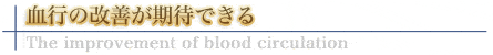 血行の改善が期待できる